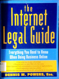 The Internet Legal Guide : Everything You Need to Know When doing Business Online