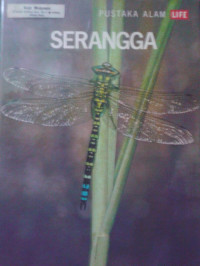 Serangga