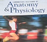 Anatomy And Physiology