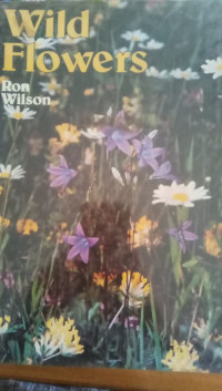 Wild Flowers