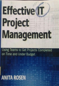 Effective IT Project Management: Using Teams to Get Completed on Time and Under Budget