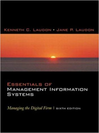 Essentials of Management Information Systems: Managing the Digital Firm