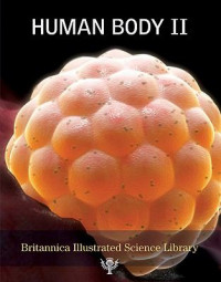 Human Body II