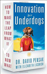 Innovation for Underdogs: How to Make the Leap from What if to Now What