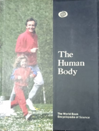 The Human Body