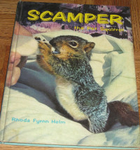 Scamper The Pet Squirrel