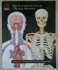 THE ILLUSTRATED ATLAS OF HUMAN ANATOMY