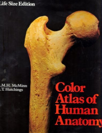 Color Atlas of Human Anatomy